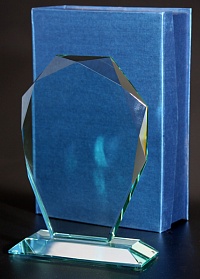 Награда стеклянная (сувенир) G007 240х170х11+футляр