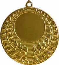 Медаль MMC4150/G 50(25) G-2,5 мм