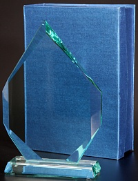 Награда стеклянная (сувенир) G018/FP 270х175х19 в комплекте коробка