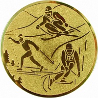 Жетон Горно-лыжный спорт (д.25) A92
