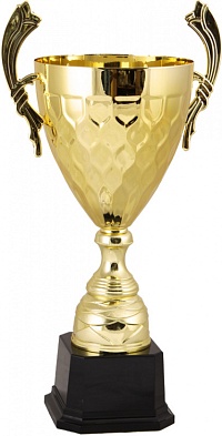 картинка Кубок 2012C               